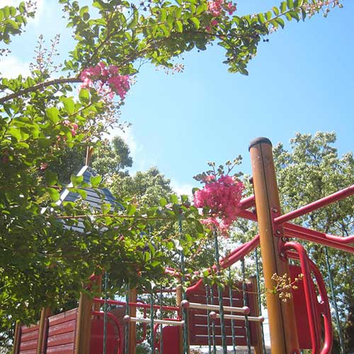 なぐさようちえん　園だより