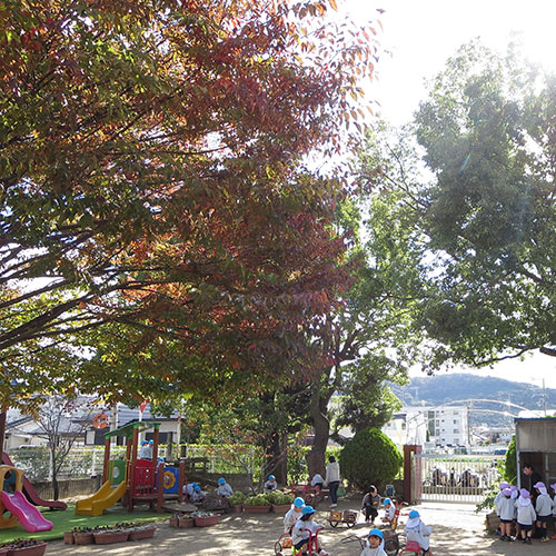 なぐさようちえん　園だより