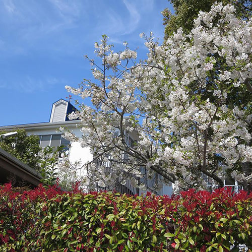 なぐさようちえん　園だより