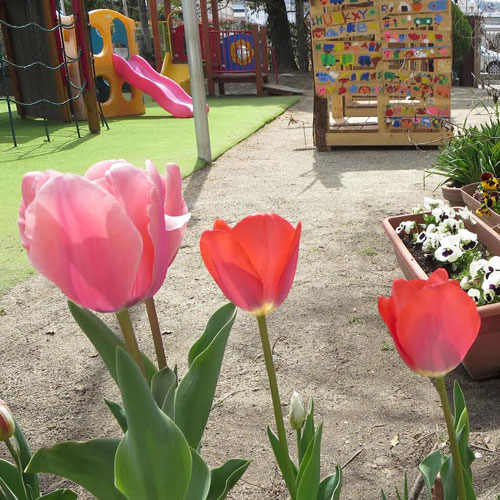 なぐさようちえん　園だより