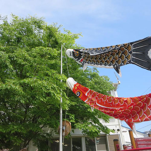 なぐさようちえん　園だより
